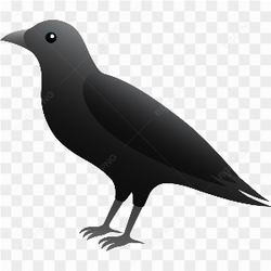Black Bird Standing