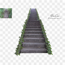 Concrete Stairs with leave