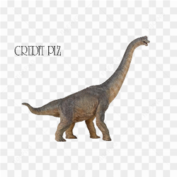 Tall Walking Brachiosaurs 