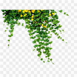 Yellow Flower Decoration