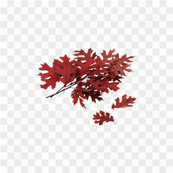 Red Tree Leaves