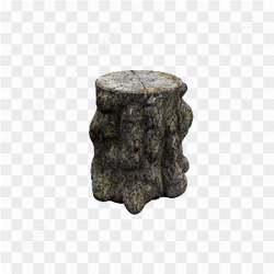 Dead Tree Trunk