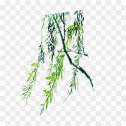 Beautiful Tree Branches
