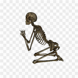 Human Skeleton Kneeling