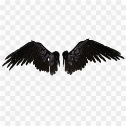 Angel Black Wing