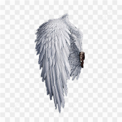 Beautiful Angel Wings