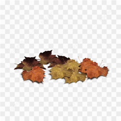 Dead Tree Leaves