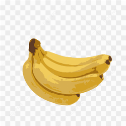 Vector Banana Fruit 