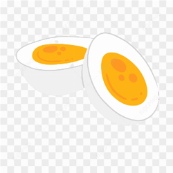 Vector Boiled Egg Slice