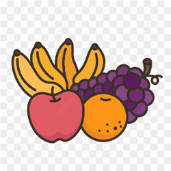 Vector Fruit Grape Banana Orange Apple