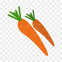 Vector Carrot Fruit Vegetable Healthy 