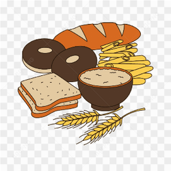 Vector Bread Donuts Snack Rice Carbohydrate Chocolate Toast Bun Wheat