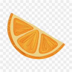 Vector Slice Orange Fruit