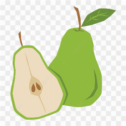 Vector Pear Fruit Fresh Sweet