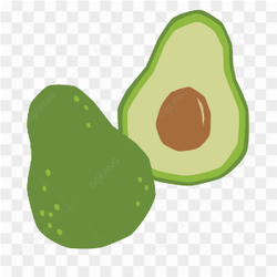 Vector Avocado Green Fresh Fruit