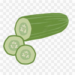 Vector Cucumber Fresh Vegetable