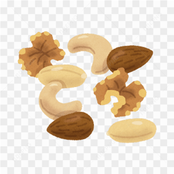 Vector Cashew Nut Almond