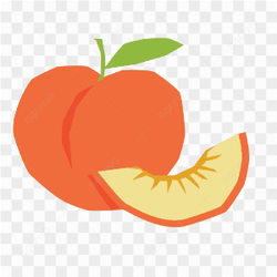 Vector Slice Orange 