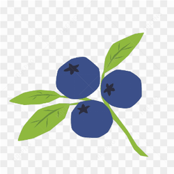 Vector Blueberry Fruit Fresh