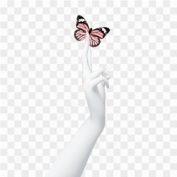 Hand Template Zepeto