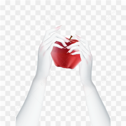 Hand Template Zepeto