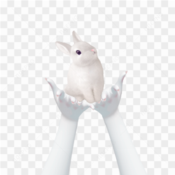Hand Template Zepeto