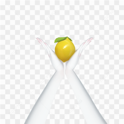 Hand Template Zepeto