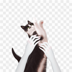 Hand Template Zepeto