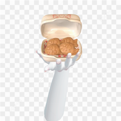 Hand Template Zepeto